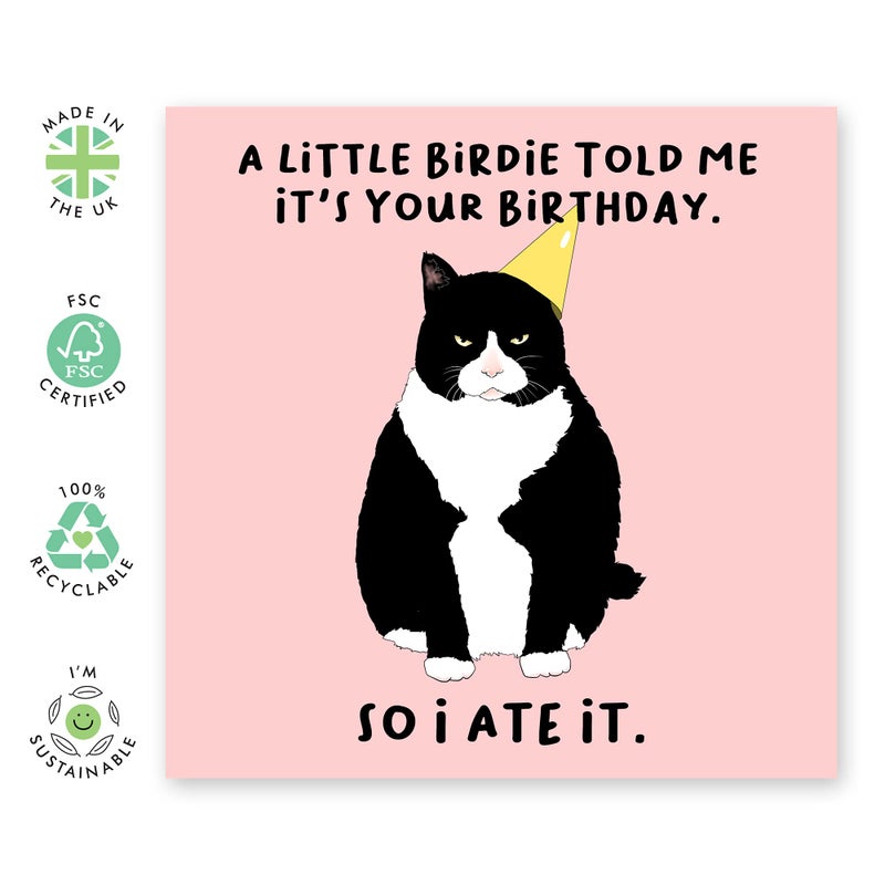 CENTRAL 23 - Funny Birthday Card - A Little Birdie Told Me It's Your Birthday So I Ate It - Greeting Cards for Cat Owner - Gift for Men Women Him Her Friend - Comes With Fun Stickers - Image 2